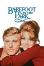 Barefoot in the Park