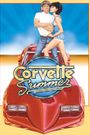 Corvette Summer