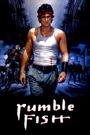 Rumble Fish