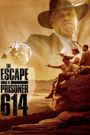 The Escape of Prisoner 614