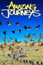 Amazing Journeys