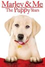 Marley & Me: The Puppy Years