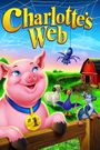 Charlotte's Web