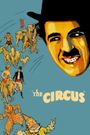 The Circus