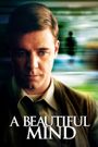 A Beautiful Mind