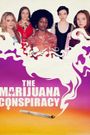 The Marijuana Conspiracy