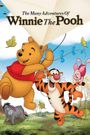 The Many Adventures of Winnie the Pooh