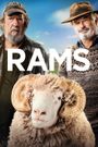 Rams