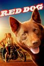 Red Dog