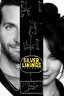 Silver Linings Playbook