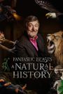 Fantastic Beasts: A Natural History