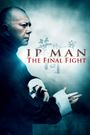 Ip Man: The Final Fight