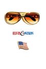 Elvis & Nixon