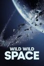 Wild Wild Space