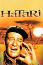 Hatari!