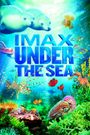 Under the Sea 3D