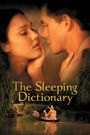 The Sleeping Dictionary