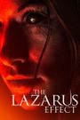 The Lazarus Effect