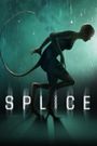 Splice