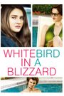 White Bird in a Blizzard