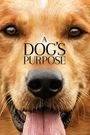 A Dog's Purpose