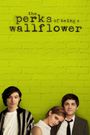 The Perks of Being a Wallflower