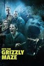 Into the Grizzly Maze