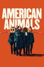 American Animals