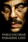 Escobar: Paradise Lost