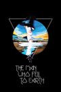 The Man Who Fell to Earth