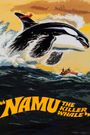 Namu, the Killer Whale