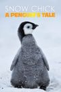 Snow Chick: A Penguin's Tale