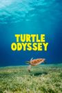 Turtle Odyssey