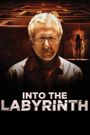 Into the Labyrinth