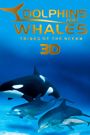 Dolphins and Whales 3D: Tribes of the Ocean