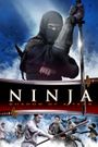 Ninja: Shadow of a Tear