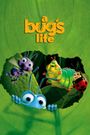 A Bug's Life