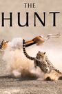 The Hunt