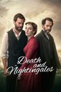 Death and Nightingales