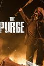 The Purge