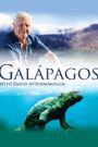 Galapagos 3D