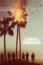 Animal Kingdom