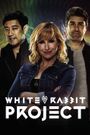 White Rabbit Project