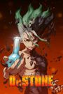 Dr. Stone