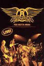 Aerosmith: You Gotta Move