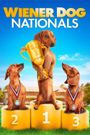 Wiener Dog Nationals