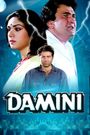 Damini