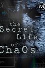 The Secret Life of Chaos