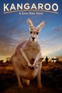 Kangaroo