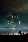 The Search for Life in Space